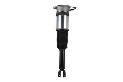 LUFTFEDERBEIN Arnott AS2958 14