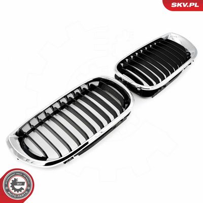 GRILA RADIATOR ESEN SKV 66SKV079 1
