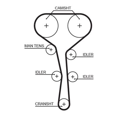 Timing Belt GATES 5532XS