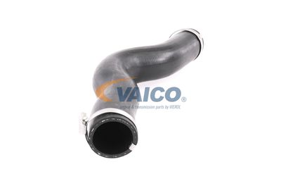 FURTUN EAR SUPRAALIMENTARE VAICO V401448 51