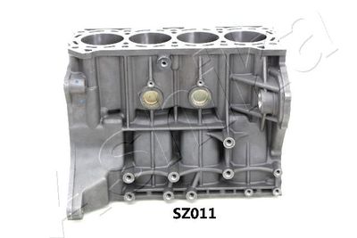 CARTER MOTOR ASHIKA SZ011 3