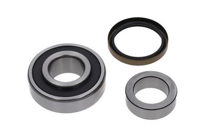 Kavo Parts Rato guolio komplektas
