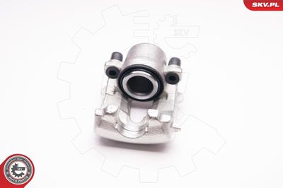 Brake Caliper 23SKV111