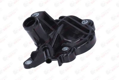 FLANSA LICHID RACIRE BIRTH 81890 11