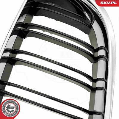 GRILA RADIATOR ESEN SKV 66SKV208 8