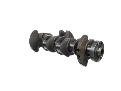 ARBORE COTIT ET ENGINETEAM HK0230 20
