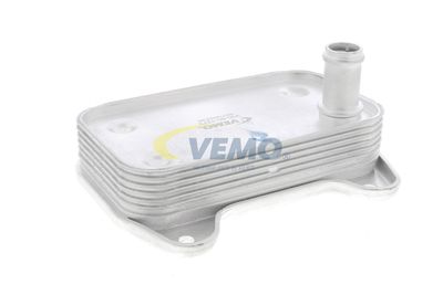 RADIATOR ULEI ULEI MOTOR VEMO V30601273 32