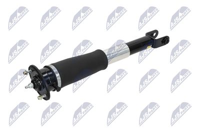 AMORTIZOR NTY ACH007 3