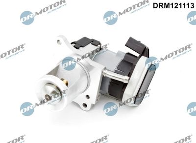 Zawór AGR DR.MOTOR AUTOMOTIVE DRM121113