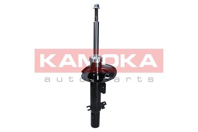 Shock Absorber 2000506