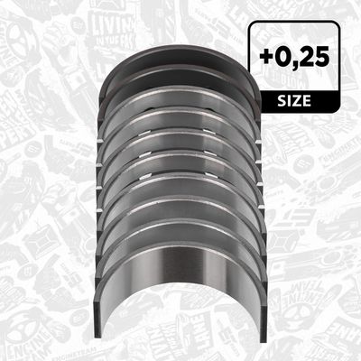 SET CUZINEțI ARBORE COTIT