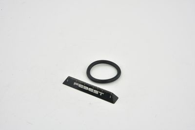 GARNITURA FLANSA LICHID RACIRE FEBEST TTTRAFII 6