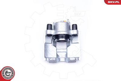 Brake Caliper 42SKV622