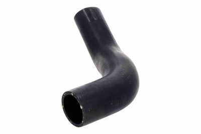 FURTUN EAR SUPRAALIMENTARE ACKOJA A260540 4