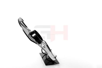 PROTECTIE STROPIRE DISC FRANA GH GH483300V 21