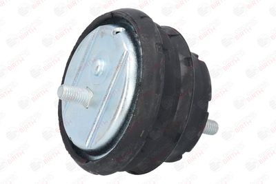 SUPORT MOTOR BIRTH 50124 8