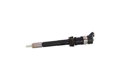 INJECTOR REMANTE 002003000030R 6