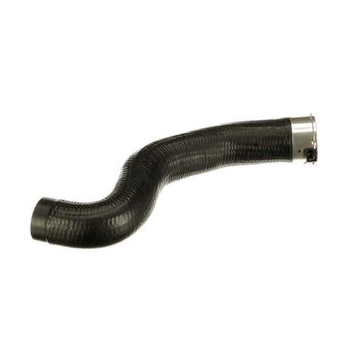 FURTUN EAR SUPRAALIMENTARE GATES 091624 47