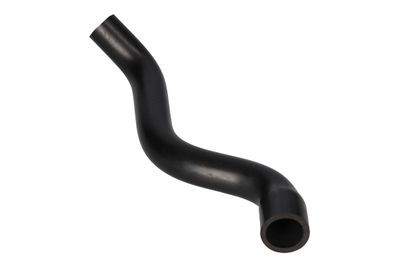 FURTUN ULEI BIRTH 56007 3