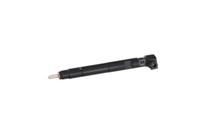 INJECTOR REMANTE 002003000176R 13