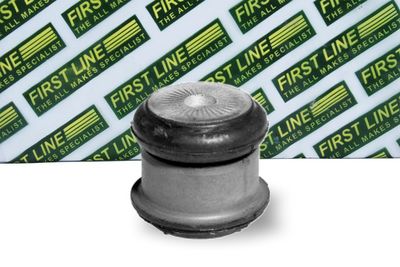 окачване, двигател FIRST LINE FEM3138