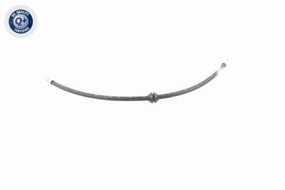 FURTUN FRANA VAICO V204119 5