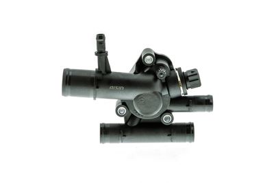 TERMOSTAT LICHID RACIRE