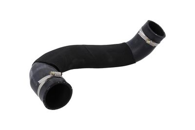 FURTUN EAR SUPRAALIMENTARE