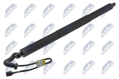 Galinių durų elektros variklis