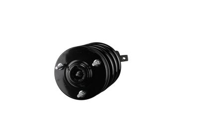 AMORTIZOR Arnott SK2954 47