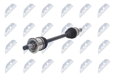 PLANETARA NTY NPWCH088 2