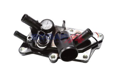 TERMOSTAT LICHID RACIRE BOGAP R4234112 5
