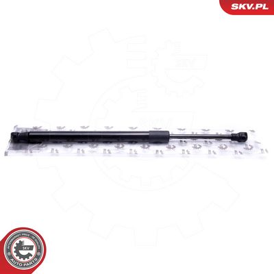 Dujinė spyruoklė, gaubtas