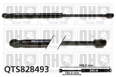 Газовая пружина, капот QUINTON HAZELL QTS828493 для MINI MINI COOPER