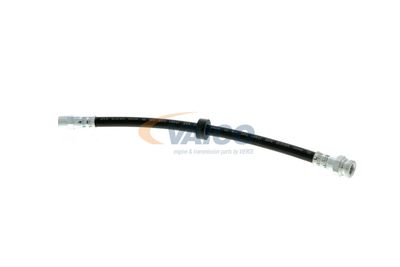 FURTUN FRANA VAICO V104191 14