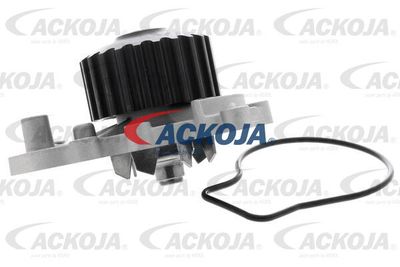 ACKOJA A26-50011 Помпа (водяной насос)  для HONDA INTEGRA (Хонда Интегра)