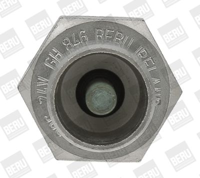 GLüHKERZE STANDHEIZUNG BorgWarner (BERU) GH846 1