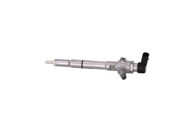 INJECTOR REMANTE 002003000988R 10