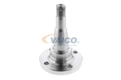 BUTUC ROATA CORP AXA VAICO V400793 29