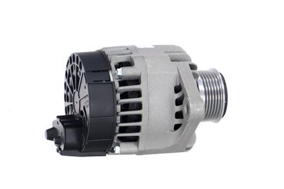 GENERATOR / ALTERNATOR REMANTE 011003000017R 38