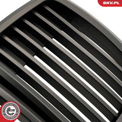Mriežka chladiča ESEN SKV 66SKV147