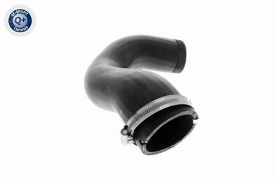 FURTUN EAR SUPRAALIMENTARE VAICO V104816 7