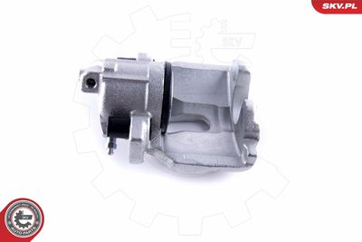 Brake Caliper 50SKV981