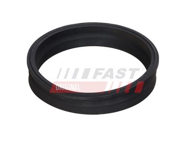 Těsnění, snímač paliva FAST FT48501