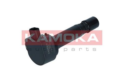 Ignition Coil 7120039