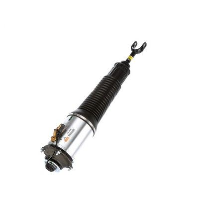 LUFTFEDERBEIN Arnott AS2560 60