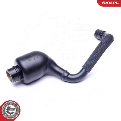 Žarna, karterio alsuoklis