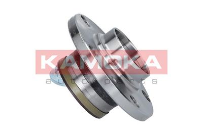 Wheel Bearing Kit 5500023