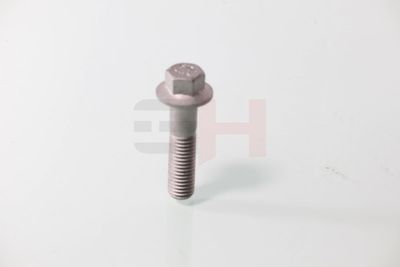 SURUB CAPAT DE AX GH GH392549 11