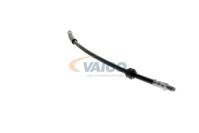 FURTUN FRANA VAICO V461009 42